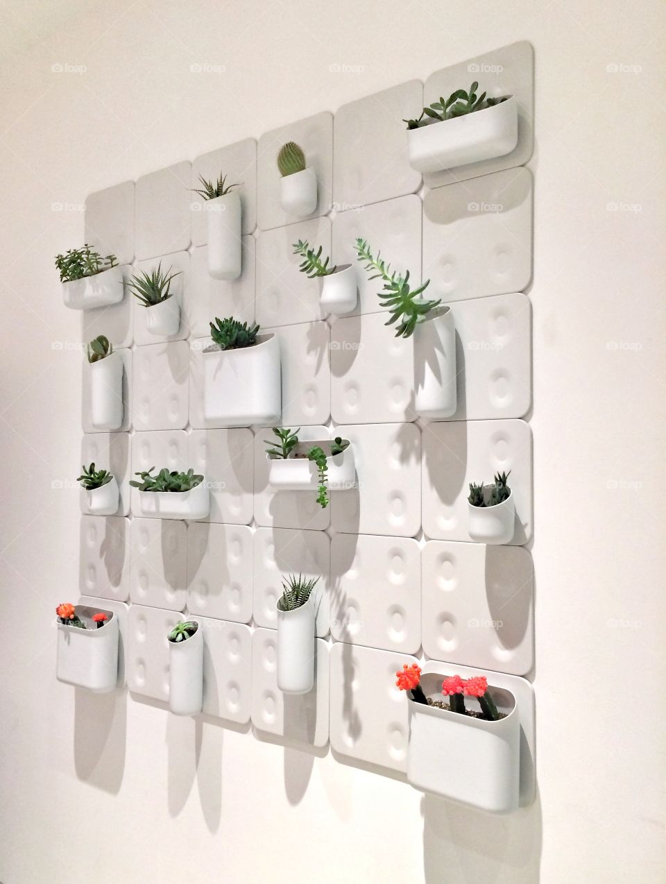 Modular indoor wall planter with succulents
