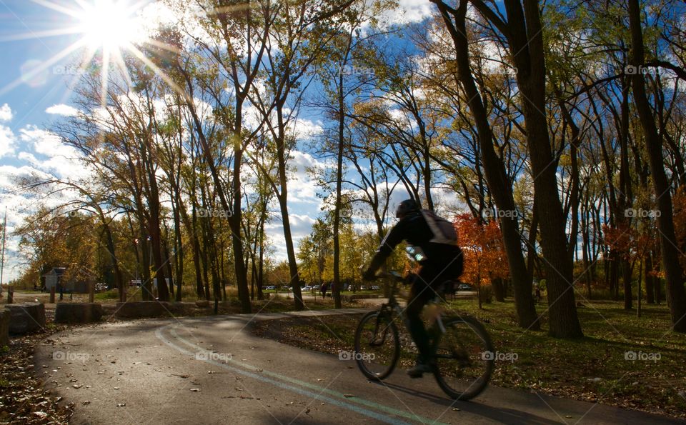 Road, Tree, Park, Cyclist, Landscape