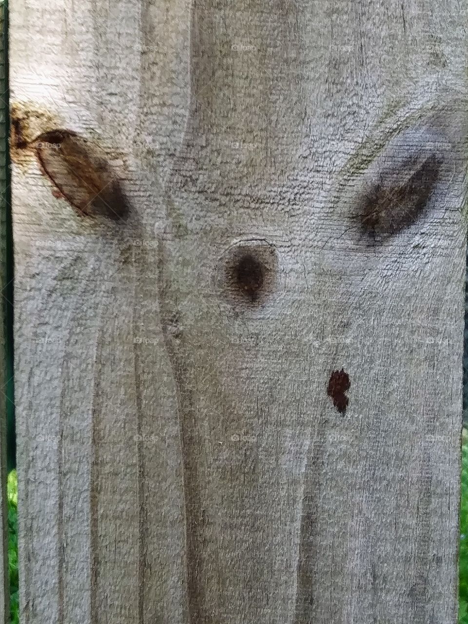 strange pattern in wood