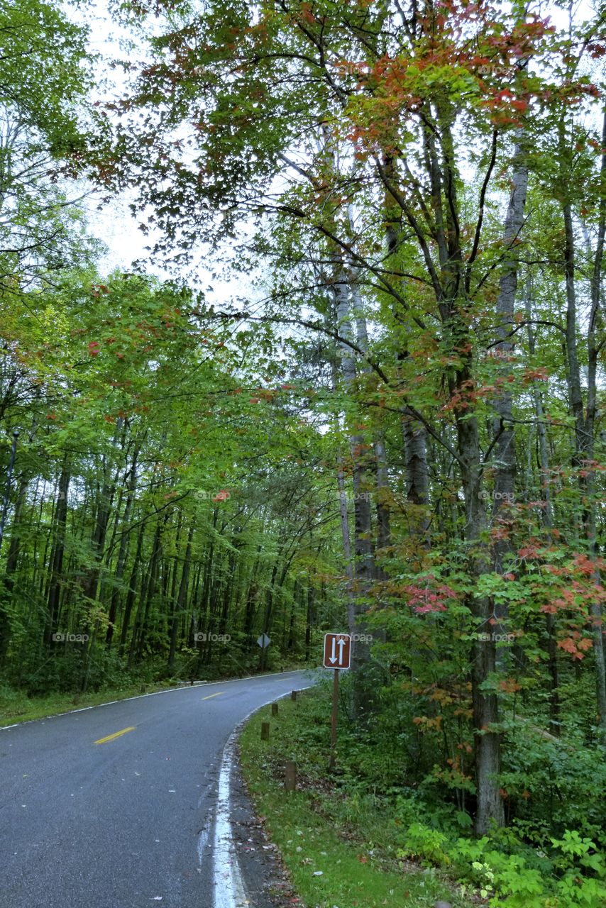 Winding road nearing fall.