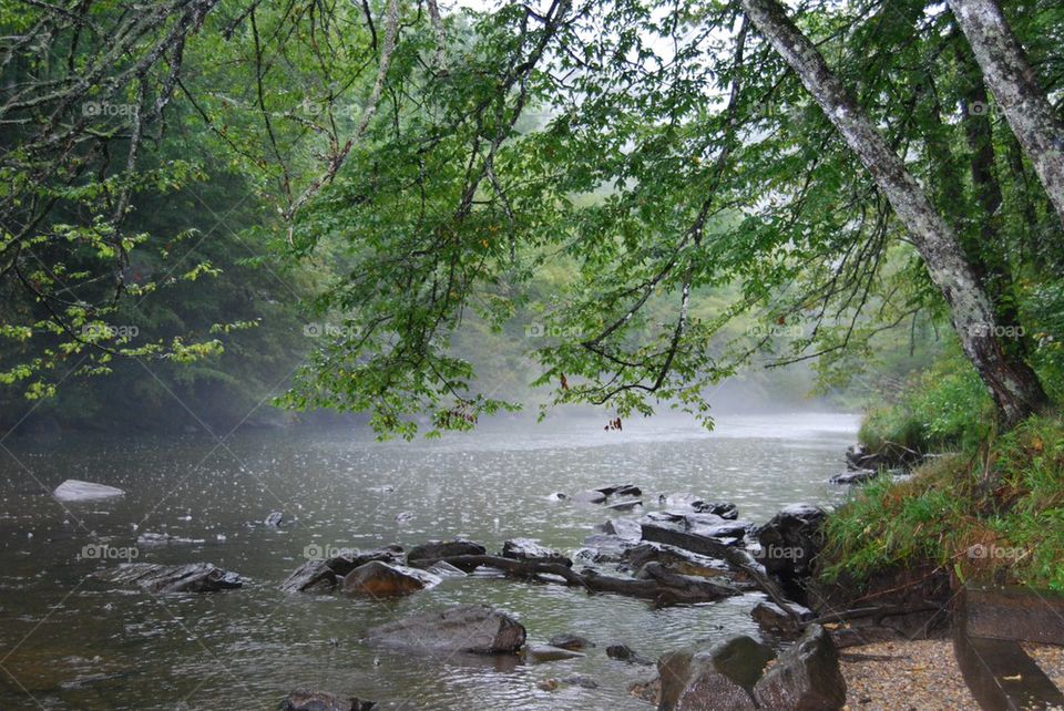 River in the fog