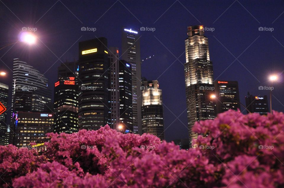 Twinkling Windows: The Beauty of Evening Light