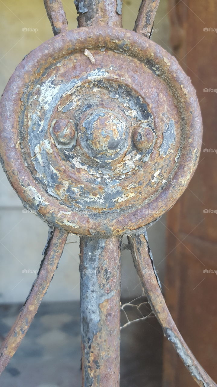 while walking through Oak Hill Cemetery in San Jose I found a few of the older family mausoleums open with doors and gates rusting..leaves piling up inside.