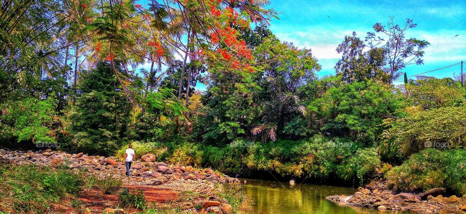 Beautiful view on the river during the dry season
