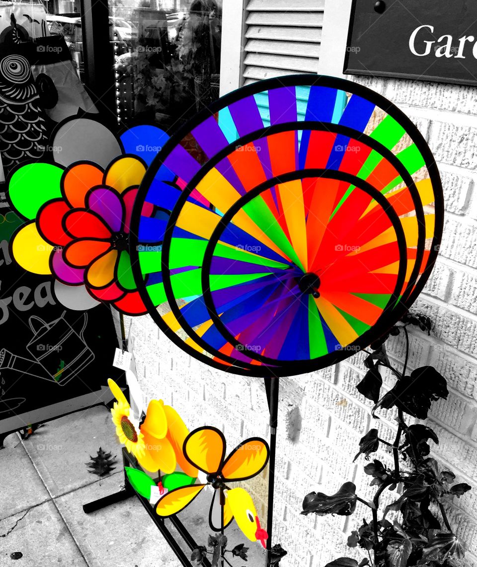 Yellow Garden Pinwheel 