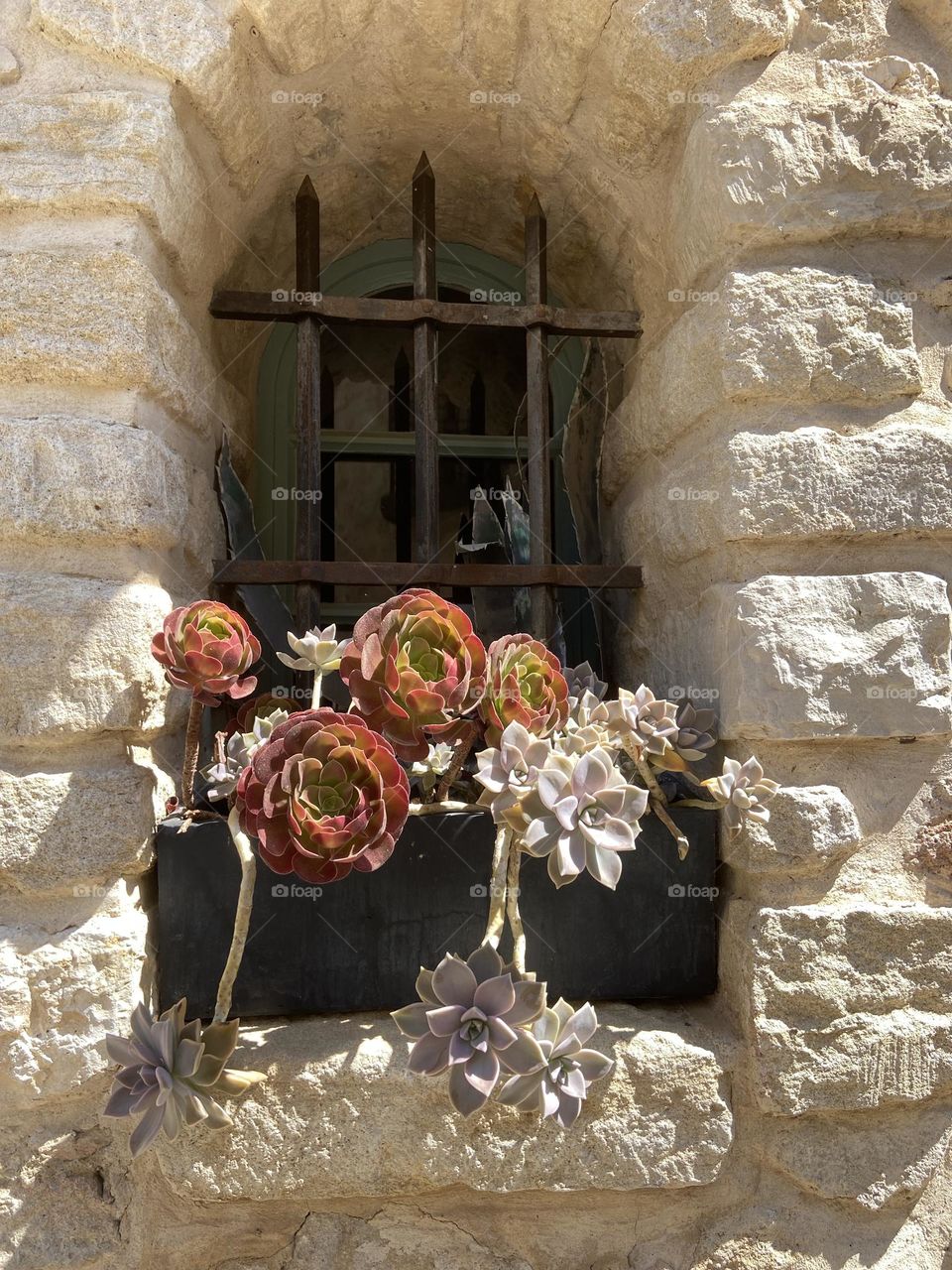 Plants by the small window in the stone wall in the village 