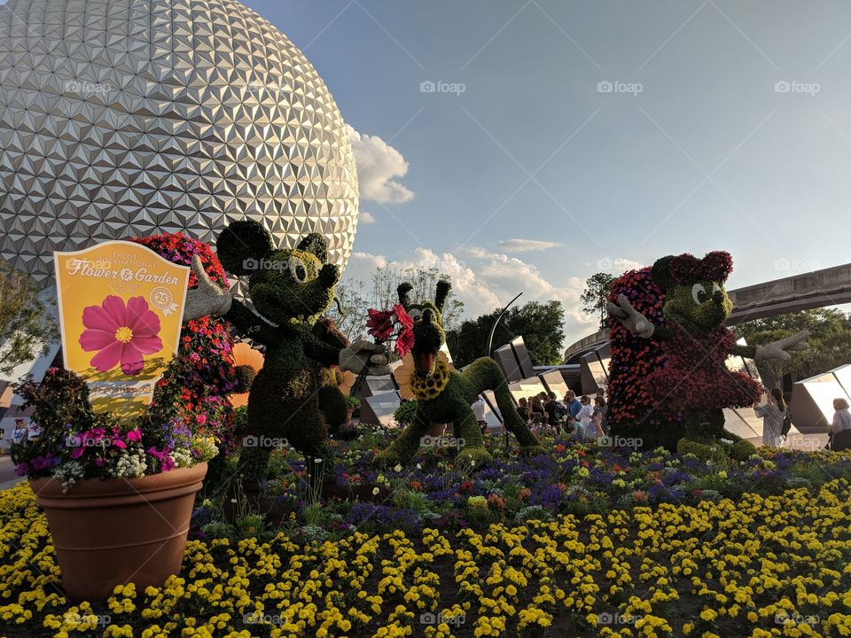Walt Disney World Epcot Flower Show spring 2018 in full bloom Minnie and Mickey