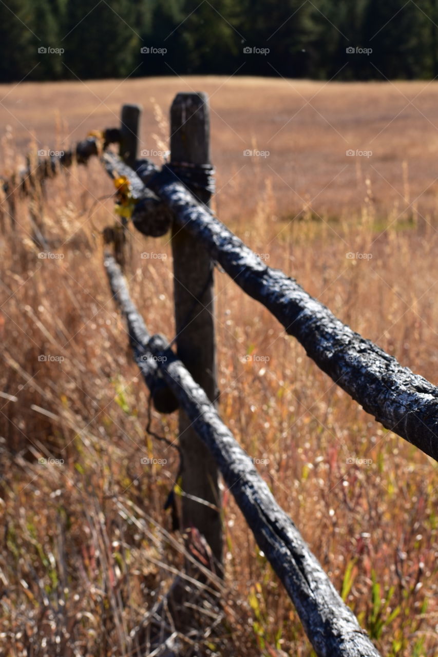 A close up, unique view of the sturdy fences that hold animals in their grassy, feeding fields. 