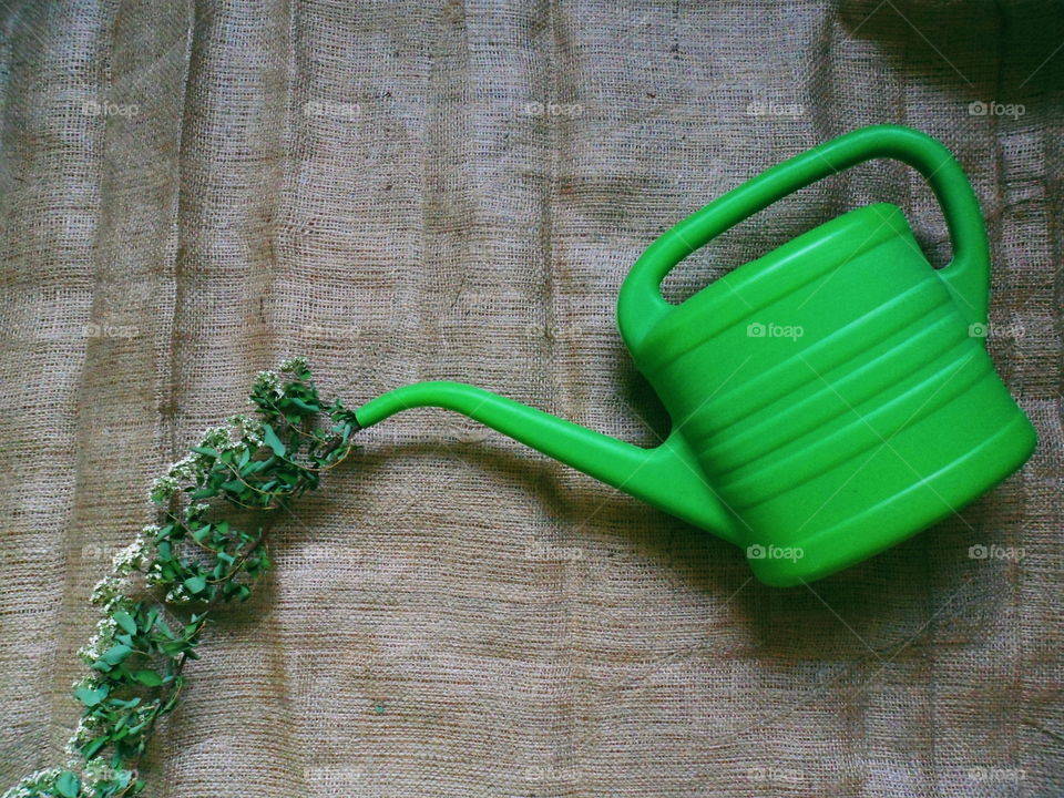 Green watering can for watering flowers and a dry branch of flowers