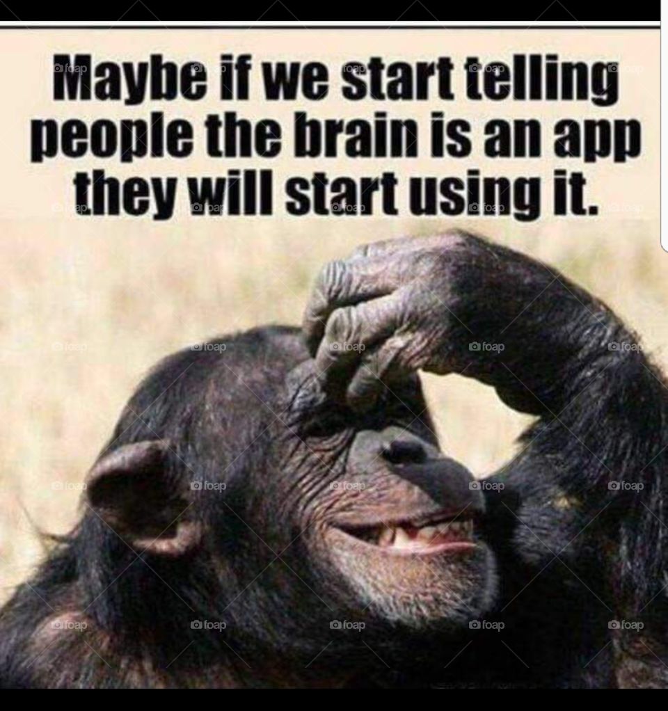 maybe if we start teling people the brain is an app they will start using it