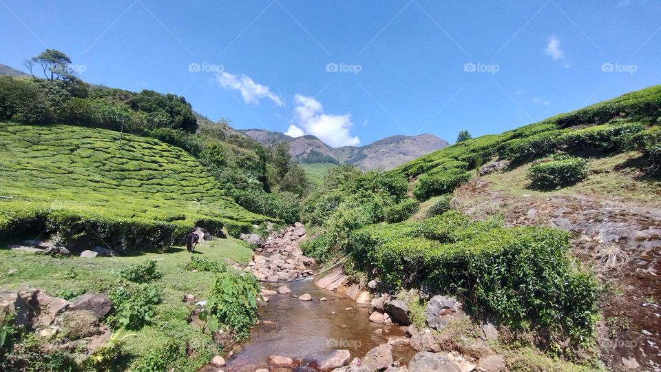 Adopt the pace of nature