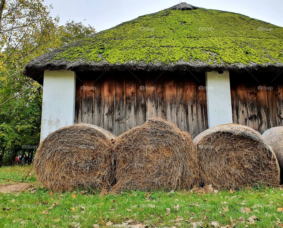 Skanzen. This photo was taken in the open air museum in Hungary.