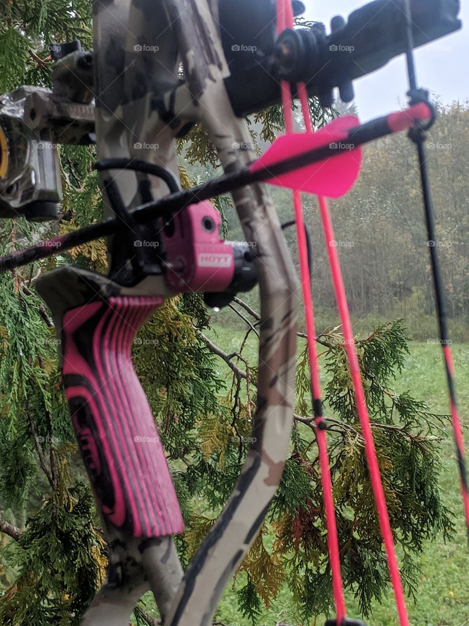 pink compound bow
