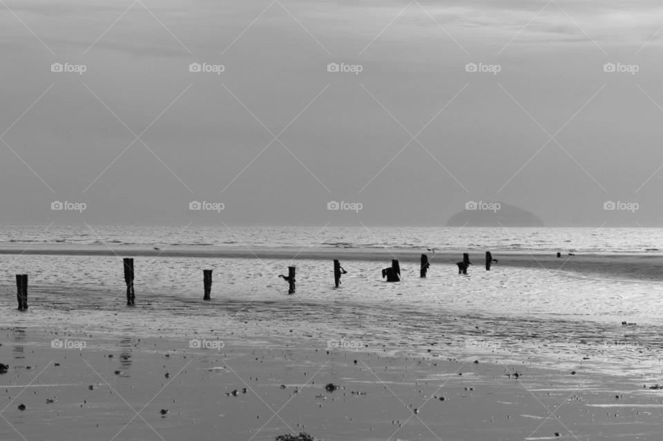 beach isla craig by l.mcquater