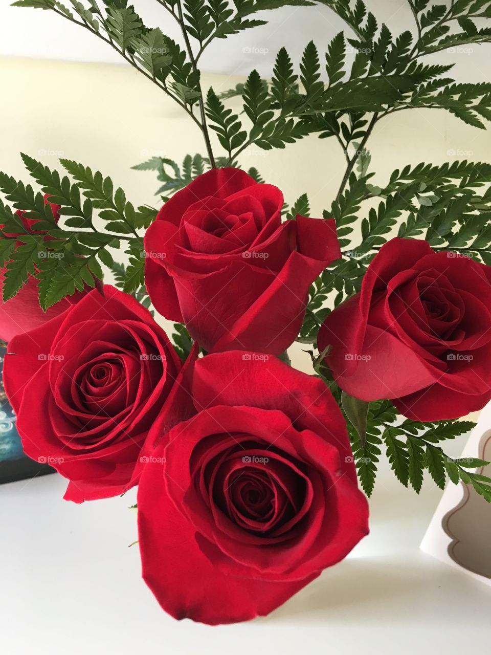 Anniversary red roses as a gift