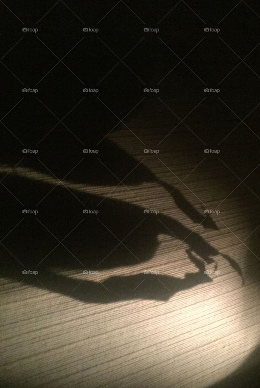 Plant Shadows on neutral background 