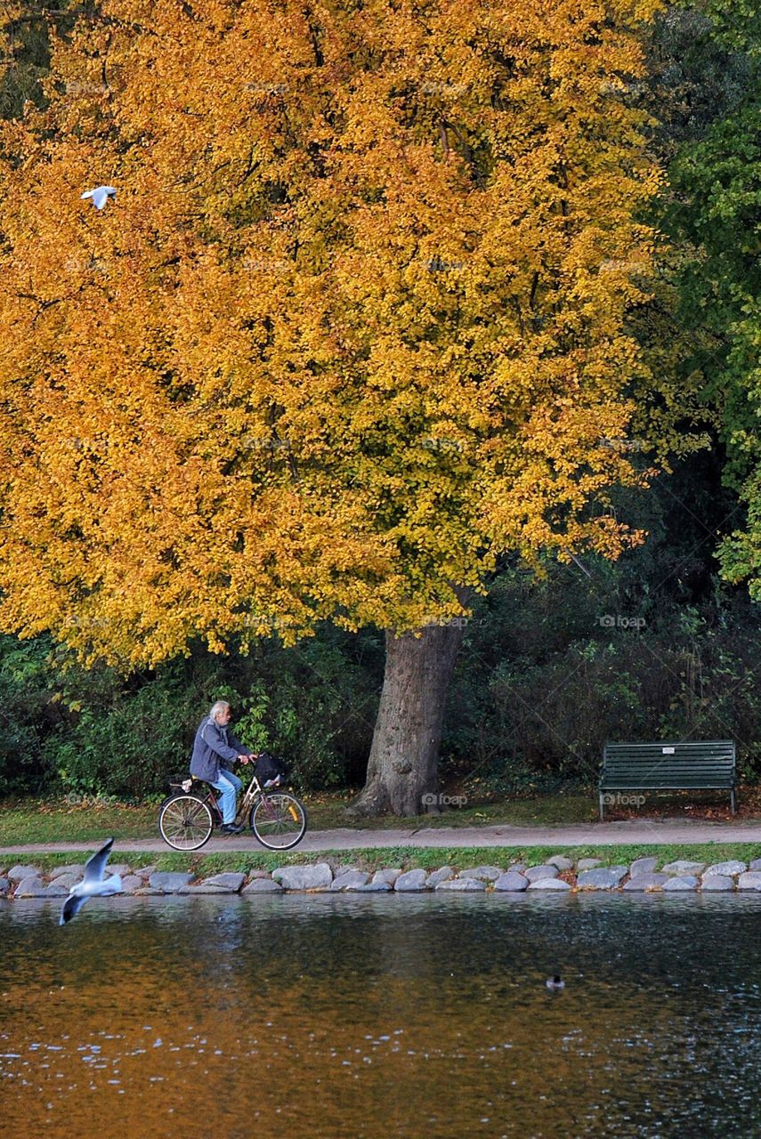 Biking in the park 