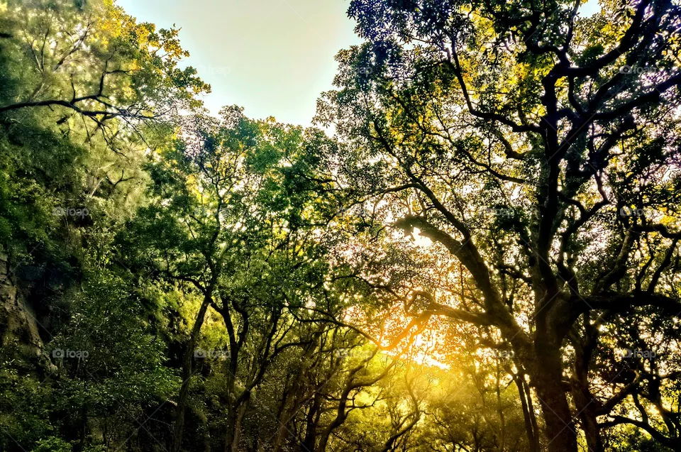 sunset