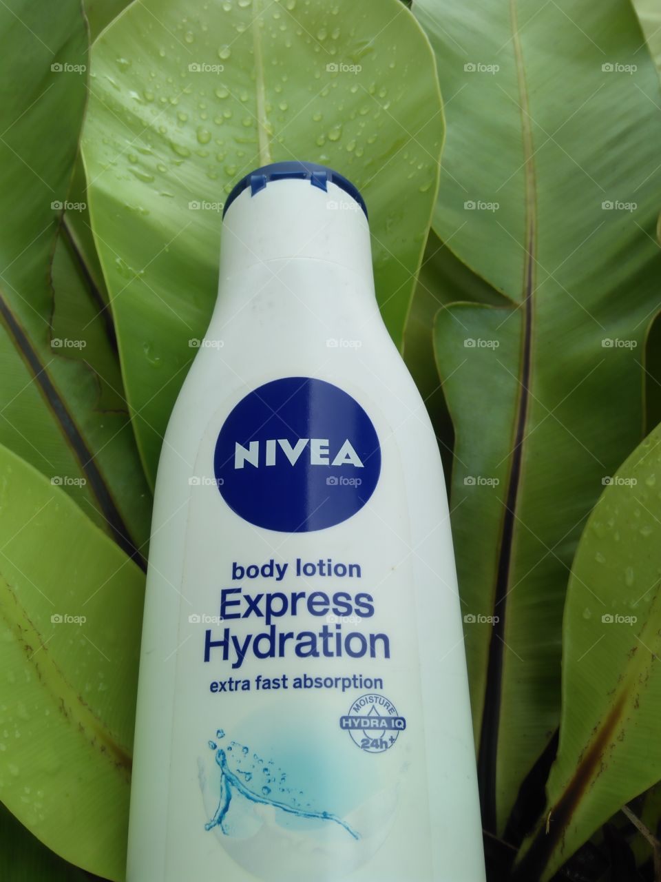 NIVEA