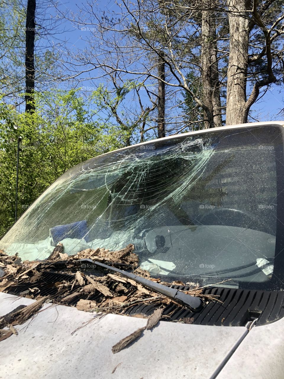 Buster windshield on old vehicle in the woods