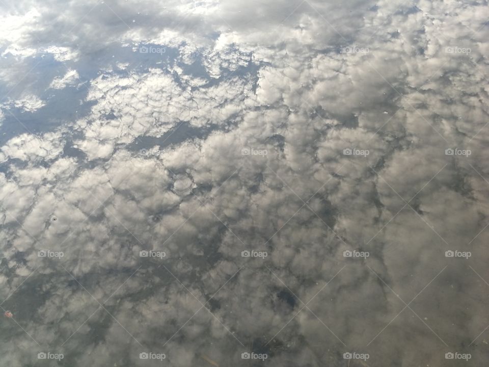 Sky in the woter