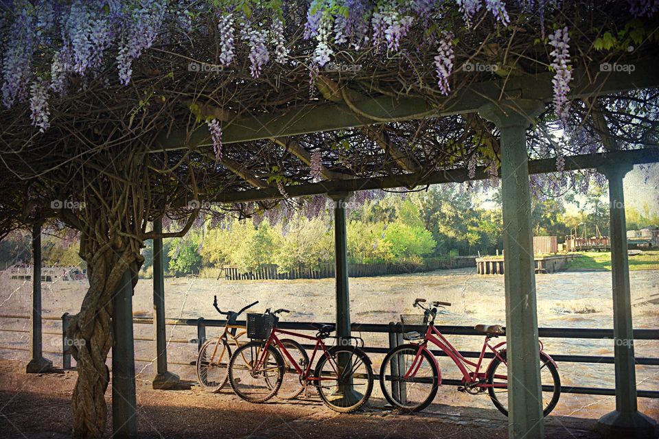 afternoon on the river