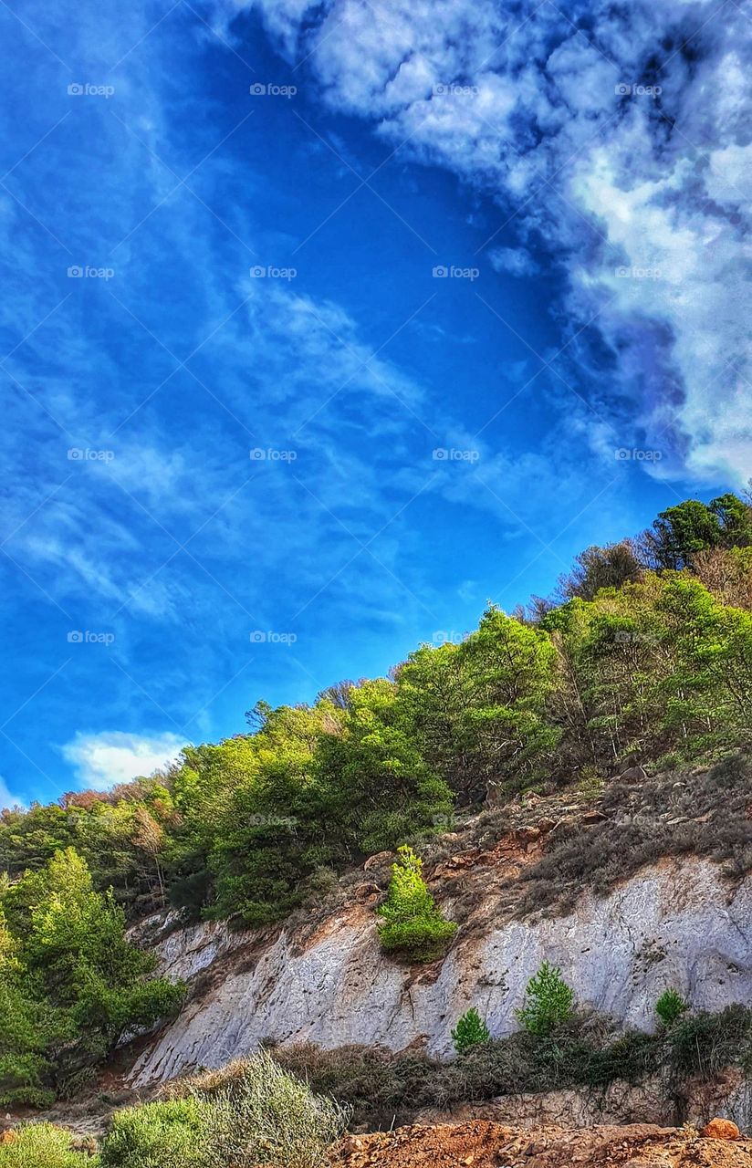 Cliffside Forest Under a Vibrant Sky