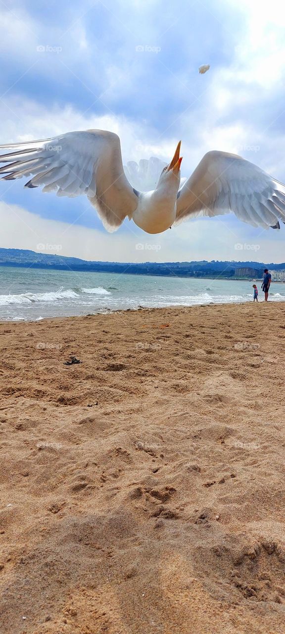 Lesson 2 : Premium mission