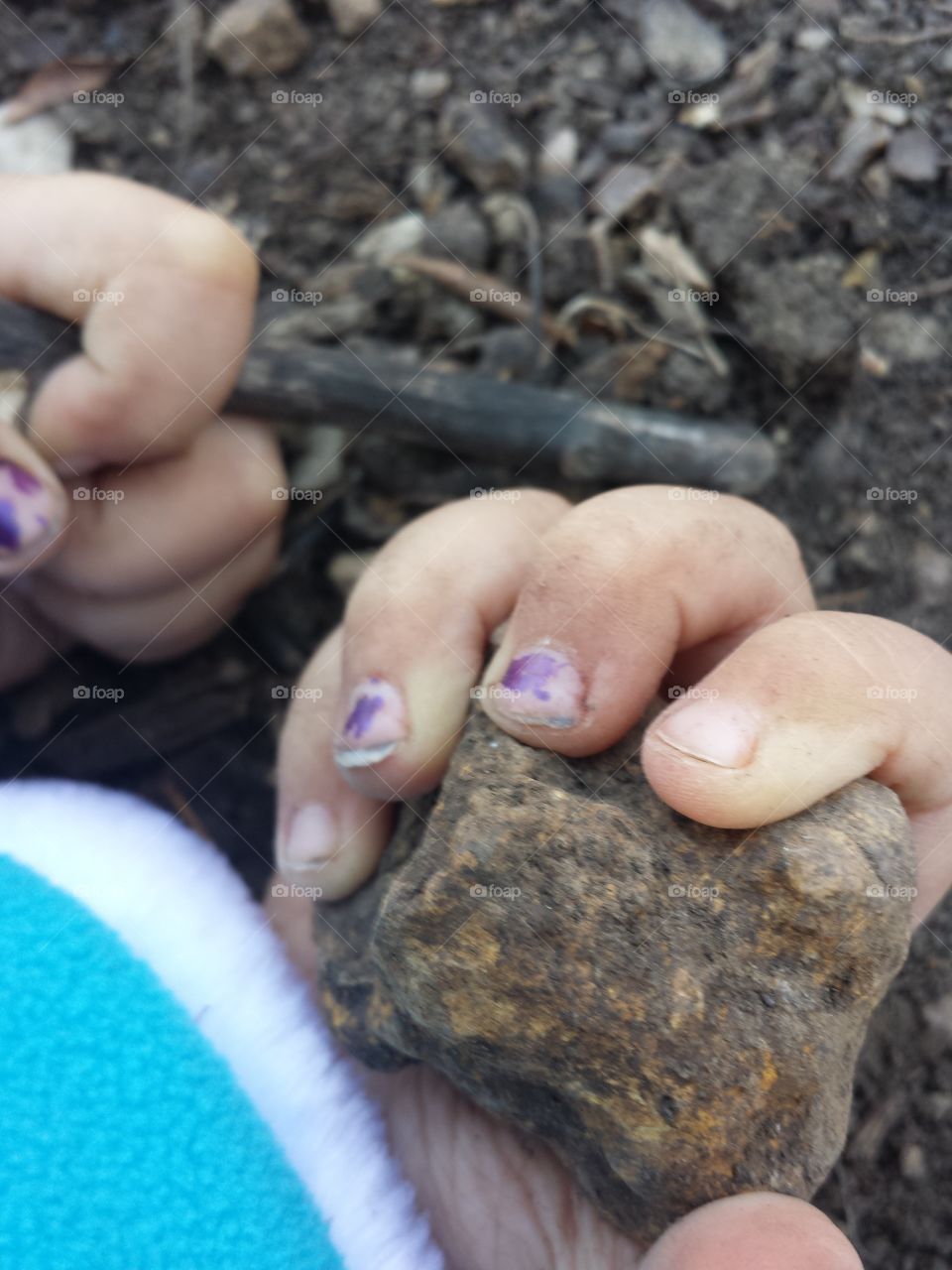 amateur paleontologist