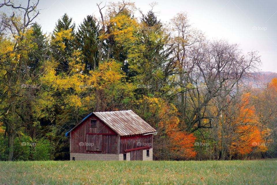 Small Autumn Barn