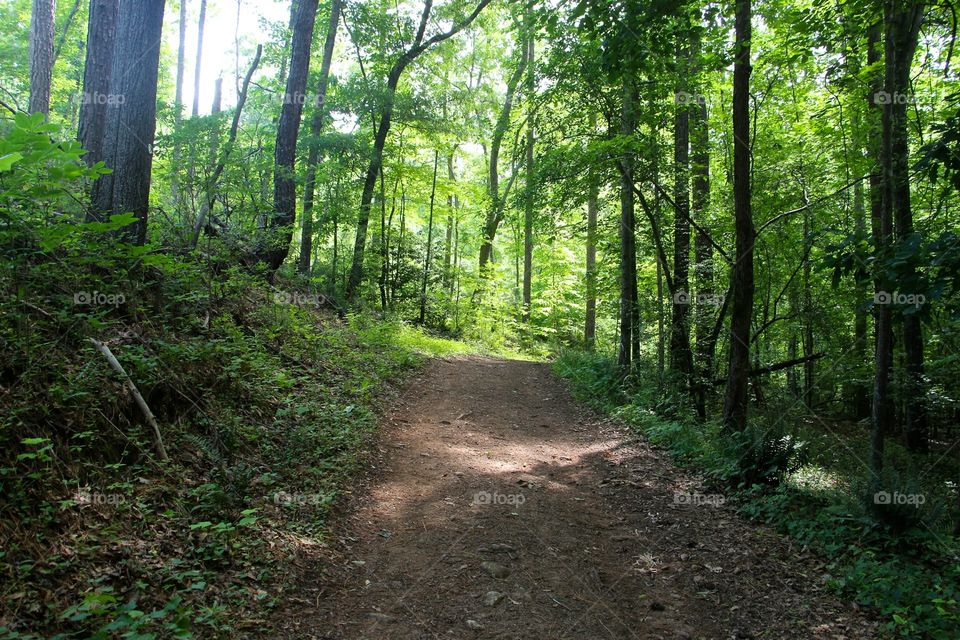 Favorite hiking spot