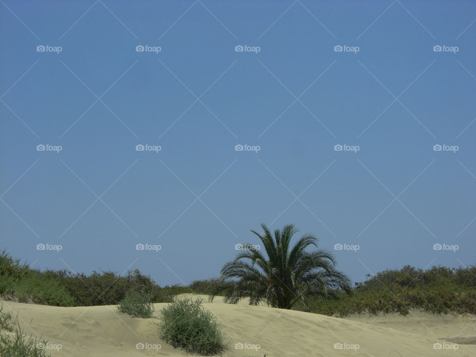 strand dessert gran canaria by stef79