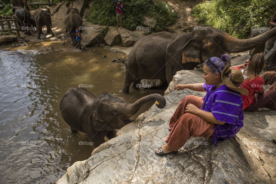 elephants with my wife in Thailand 