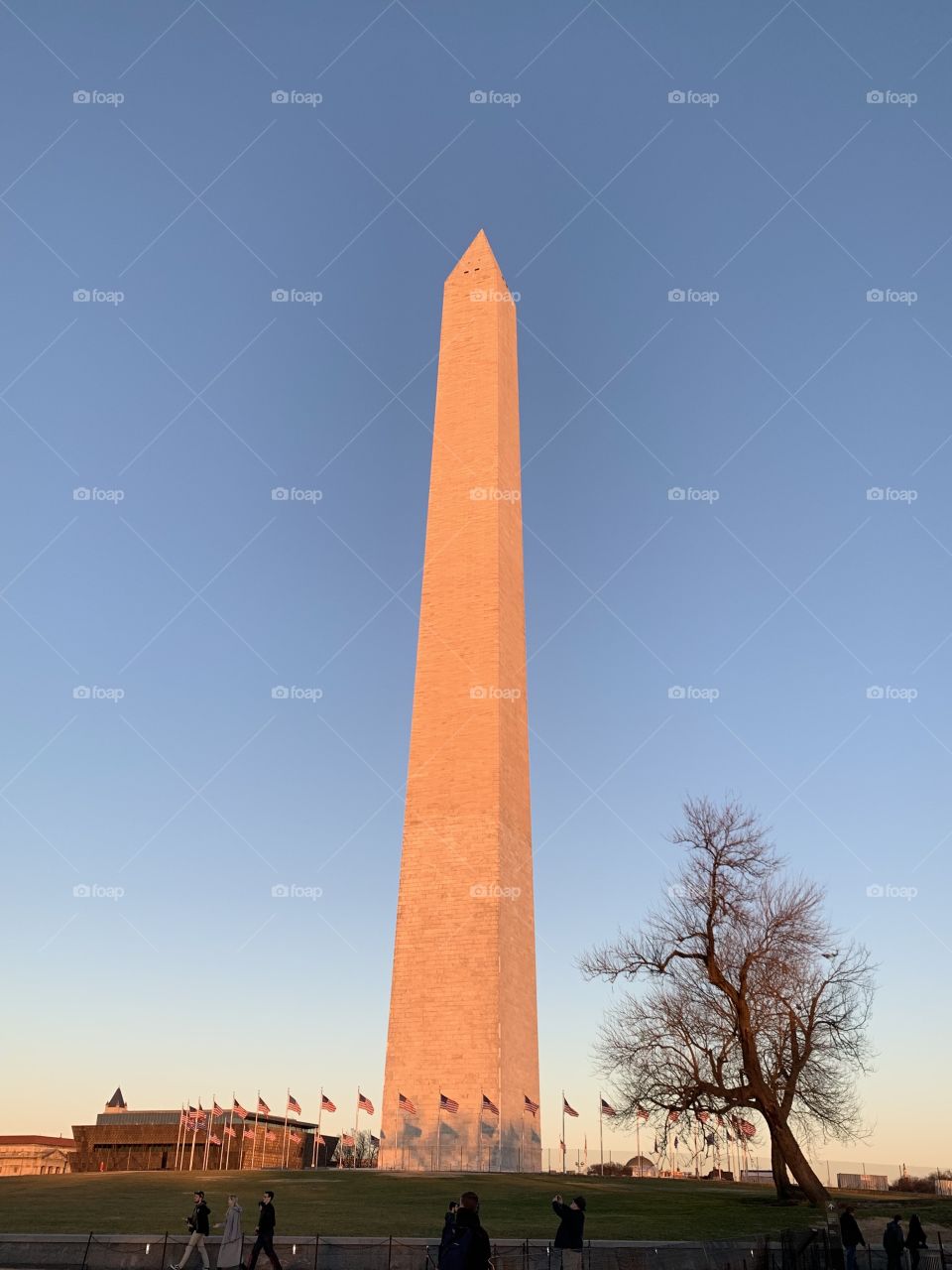Washington Monument in pre-dusk glow