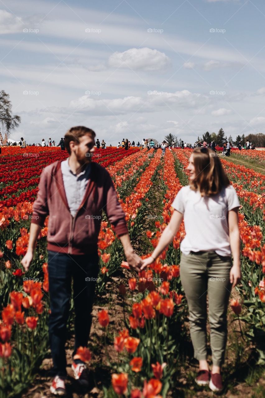 Couple holding hands in a field of red tulips