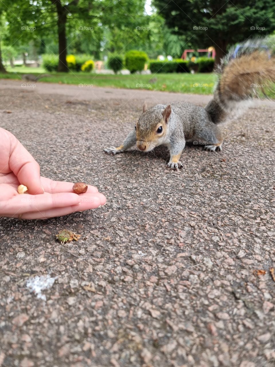 I am ready to take it