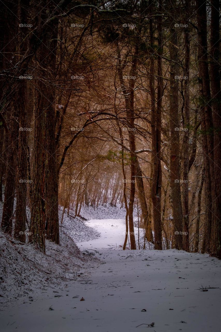 May your coffee be hot, and your trails ahead be bright. 