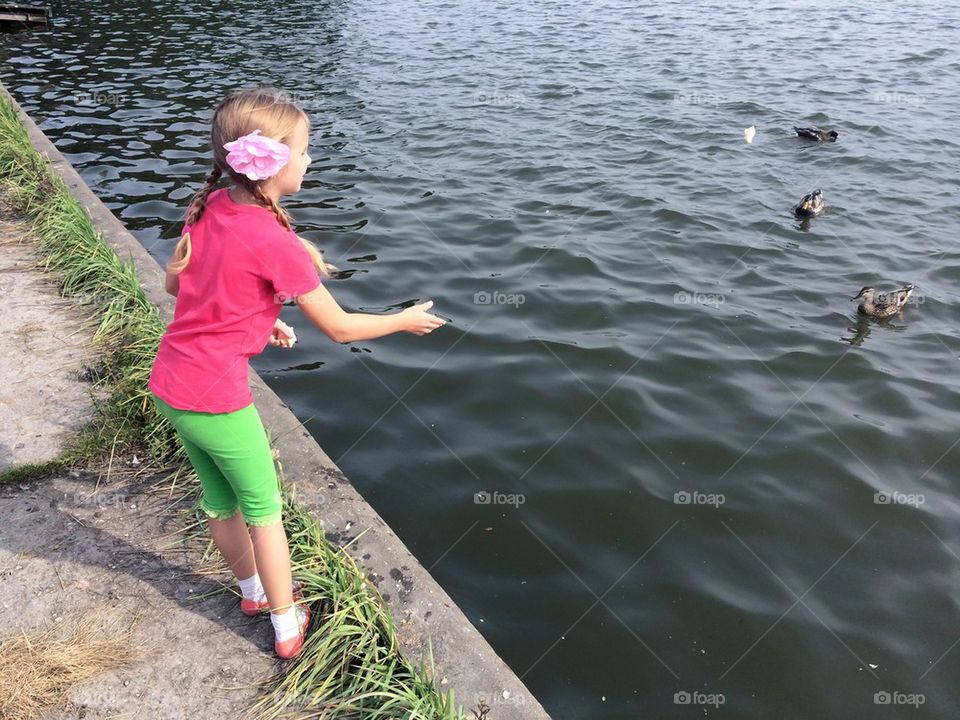 Feeding ducks