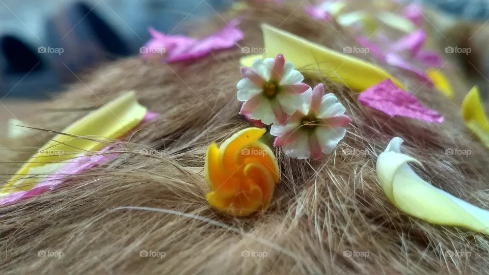 hair