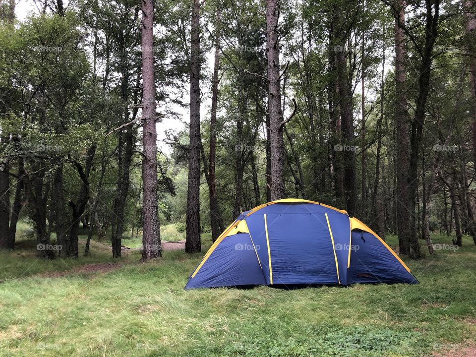 Tent in the woods 
