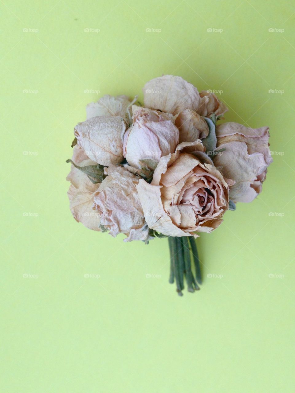 Bouquet of dry light pink flowers on yellow background 