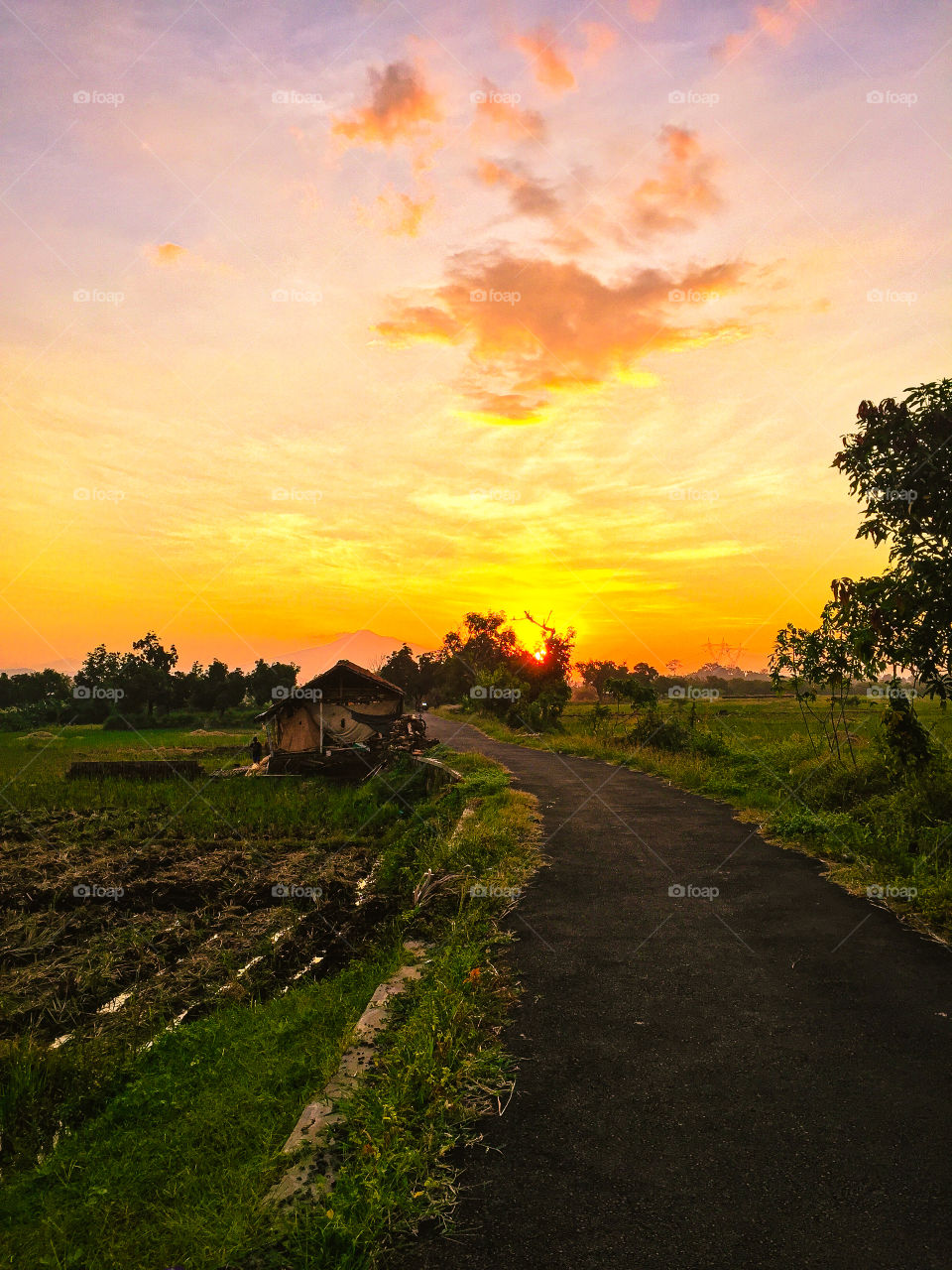 sunset rural atmosphere