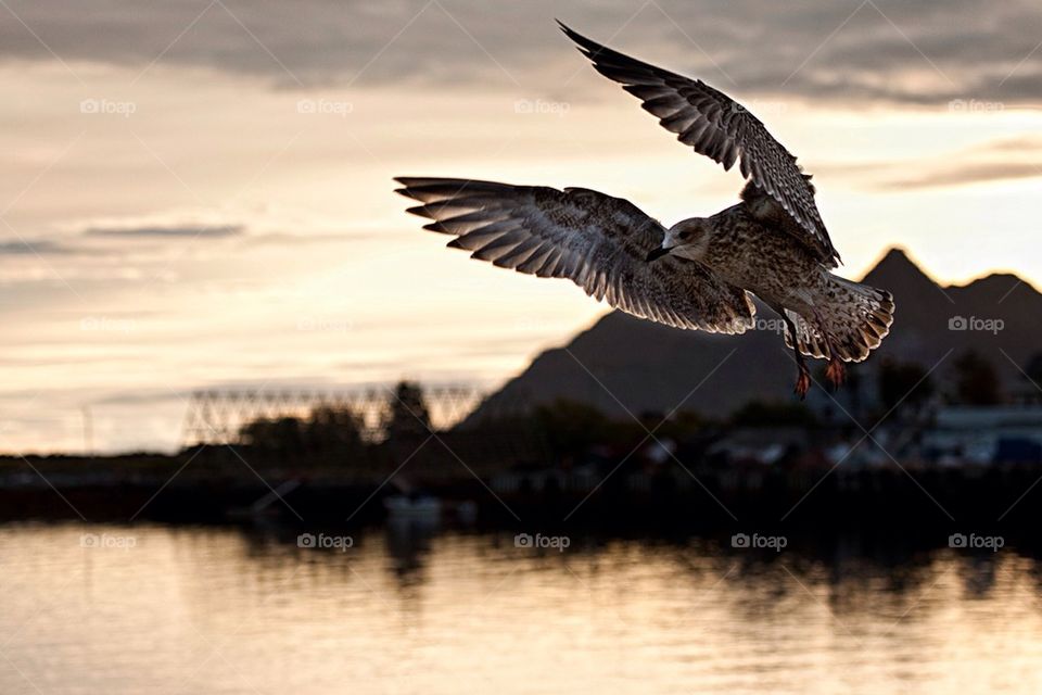 Landing approach