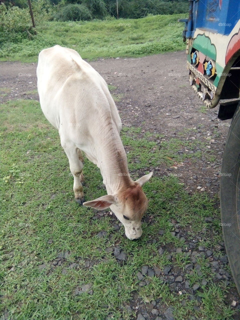 A great photo,a photo for everyone,a memorable photo,a no. photo,a photo to cherish,a beautiful photo,a great photo for the best people,an evergreen photo,a photo to remember for years,the best result of great photography