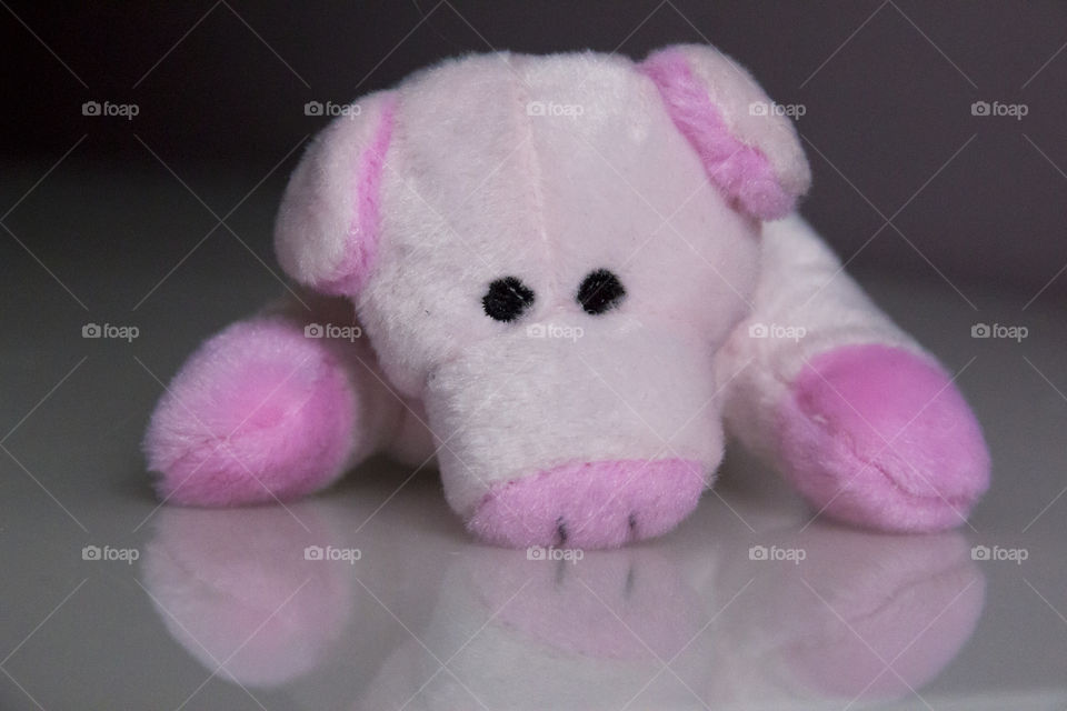 Close-up of a stuffed toy