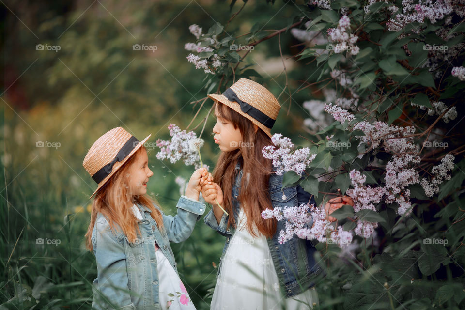 Little sisters in a hat near blossom lilac tree at sunset 