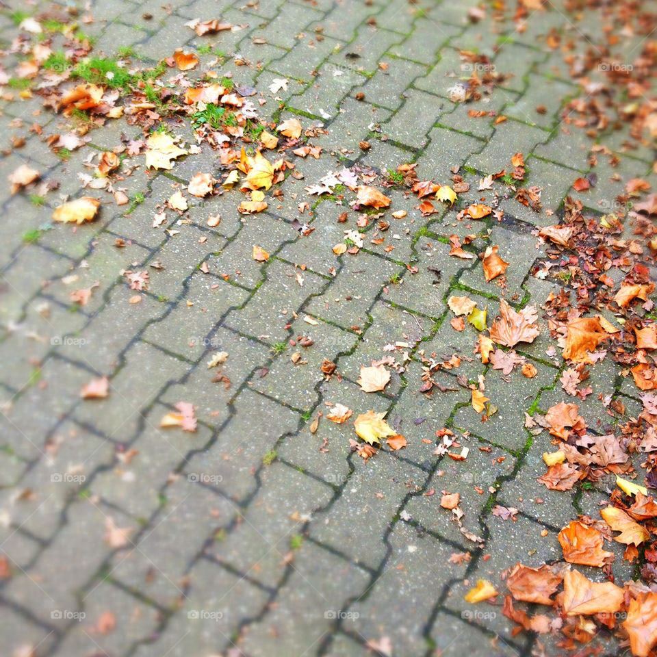 street ground outdoor autumn by startomat