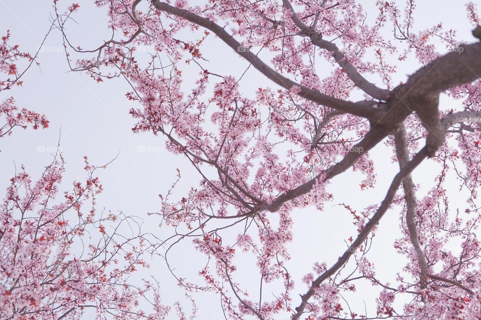 beautiful spring moment