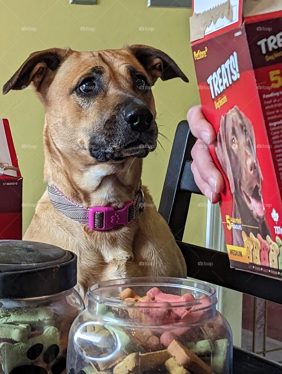 Time to fill the treat jar