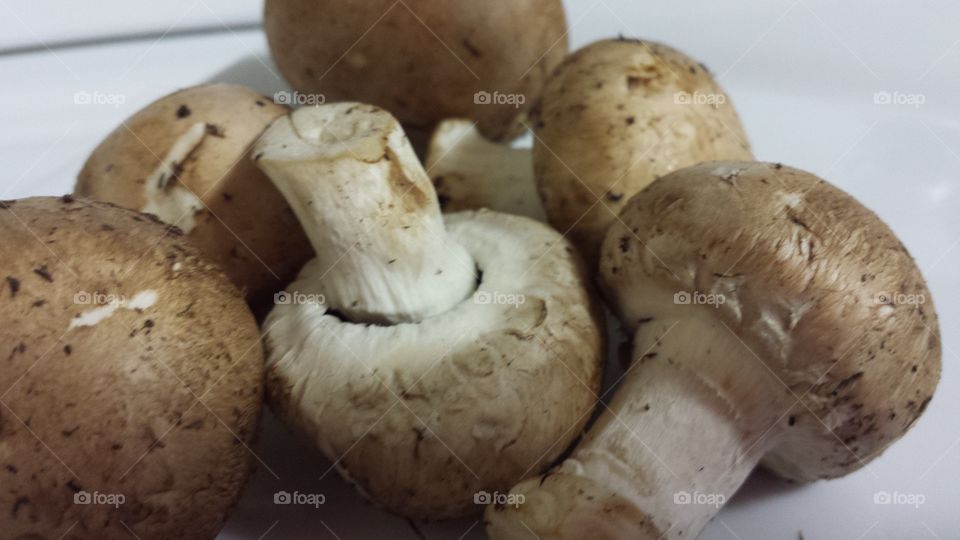 button mushrooms. fungus
